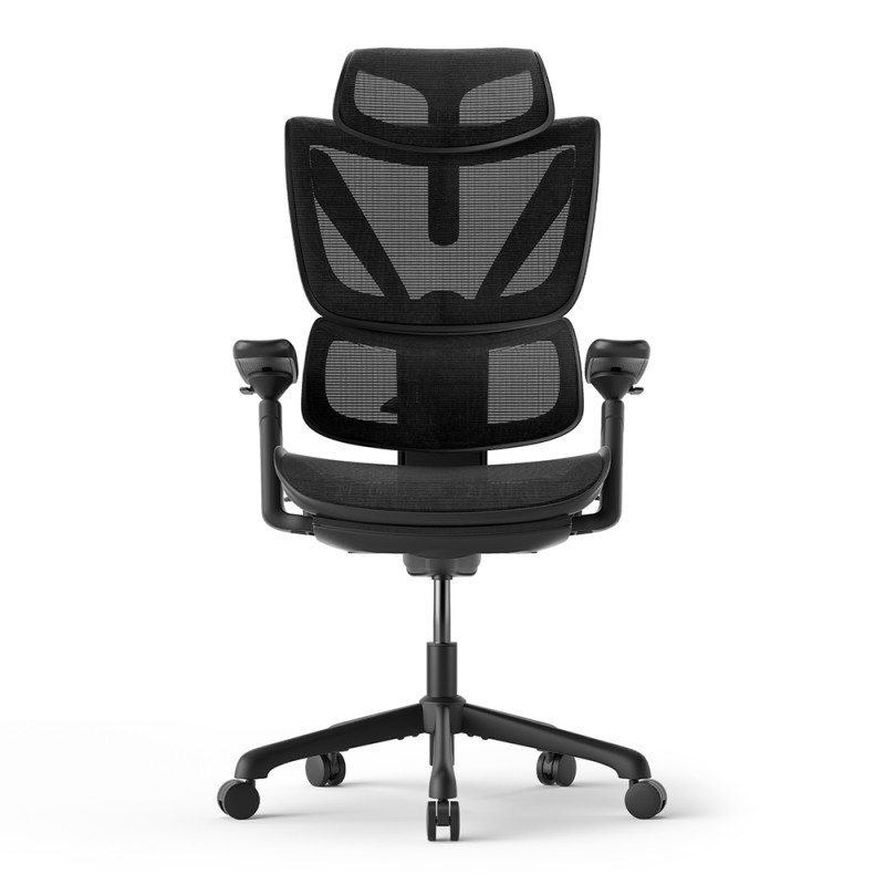 ACGAM CG-5245M Ergonomic Gaming Office Chair with Various Adjustable Options