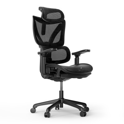 ACGAM CG-5245M Ergonomic Gaming Office Chair with Various Adjustable Options