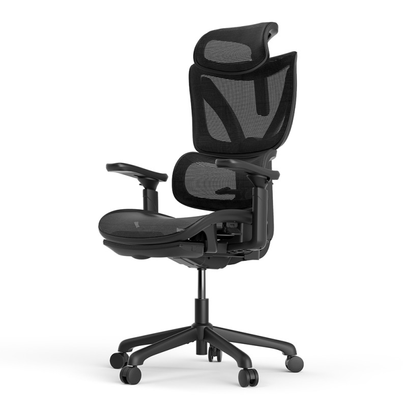 ACGAM CG-5245M Ergonomic Gaming Office Chair with Various Adjustable Options