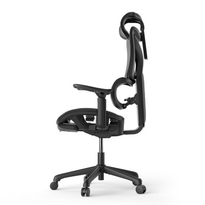 ACGAM CG-5245M Ergonomic Gaming Office Chair with Various Adjustable Options