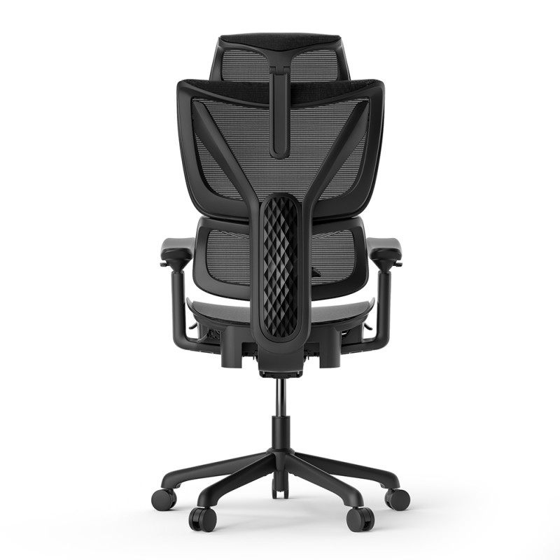 ACGAM CG-5245M Ergonomic Gaming Office Chair with Various Adjustable Options